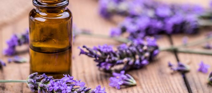 13 Uses For Lavender Oil: The Only Essential Oil You’ll Need