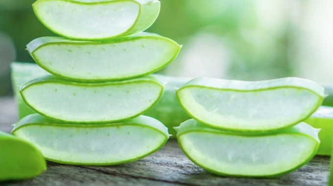 8 Ways Aloe Vera Gel Can Benefit Your Skin